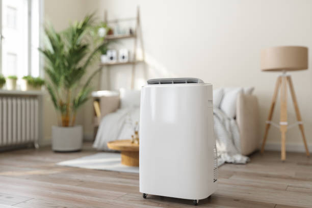 Best Best HVAC companies  in Hidden Meadows, CA